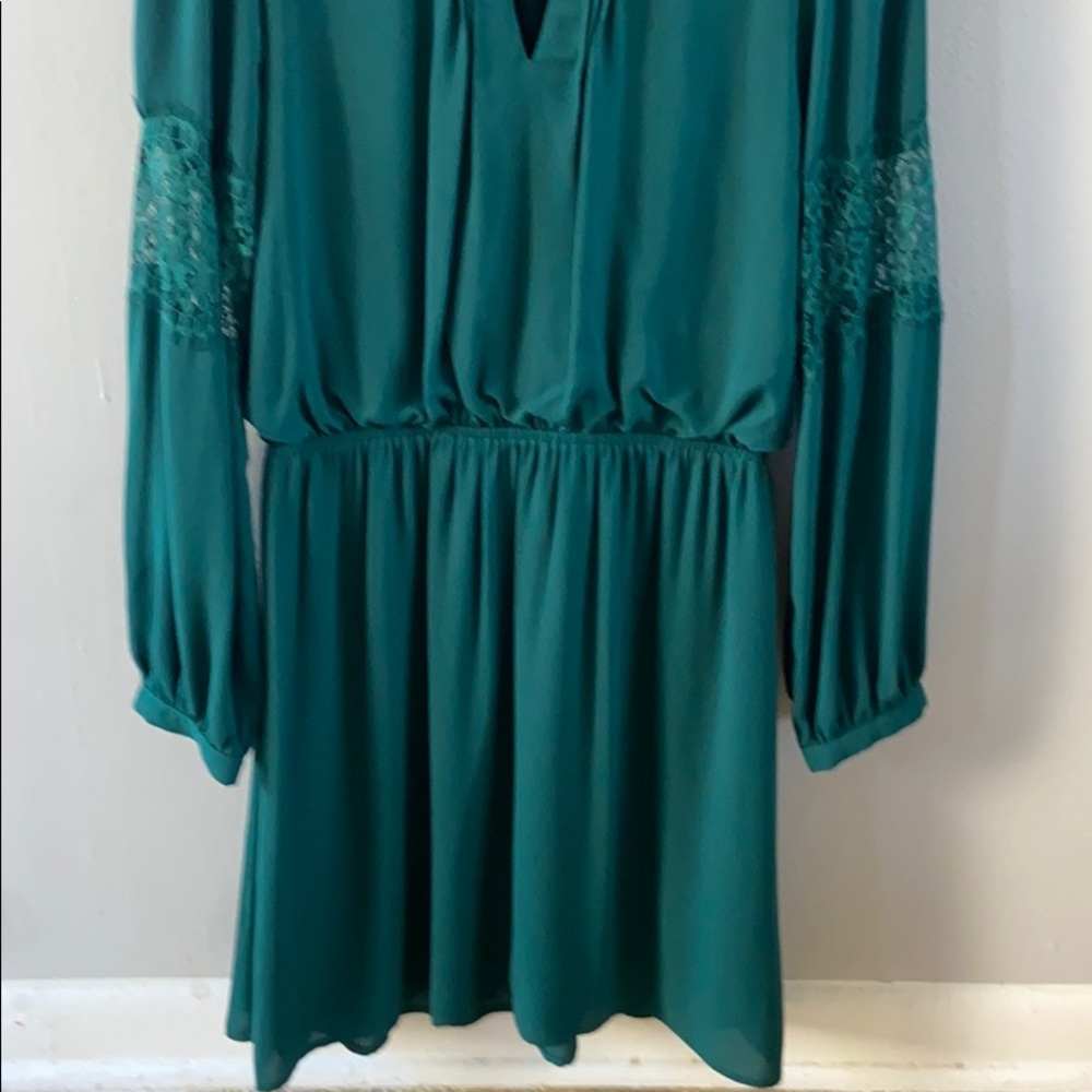 Express Dress - Picture 4 of 6